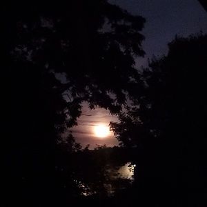 Meet your Posher, Briana